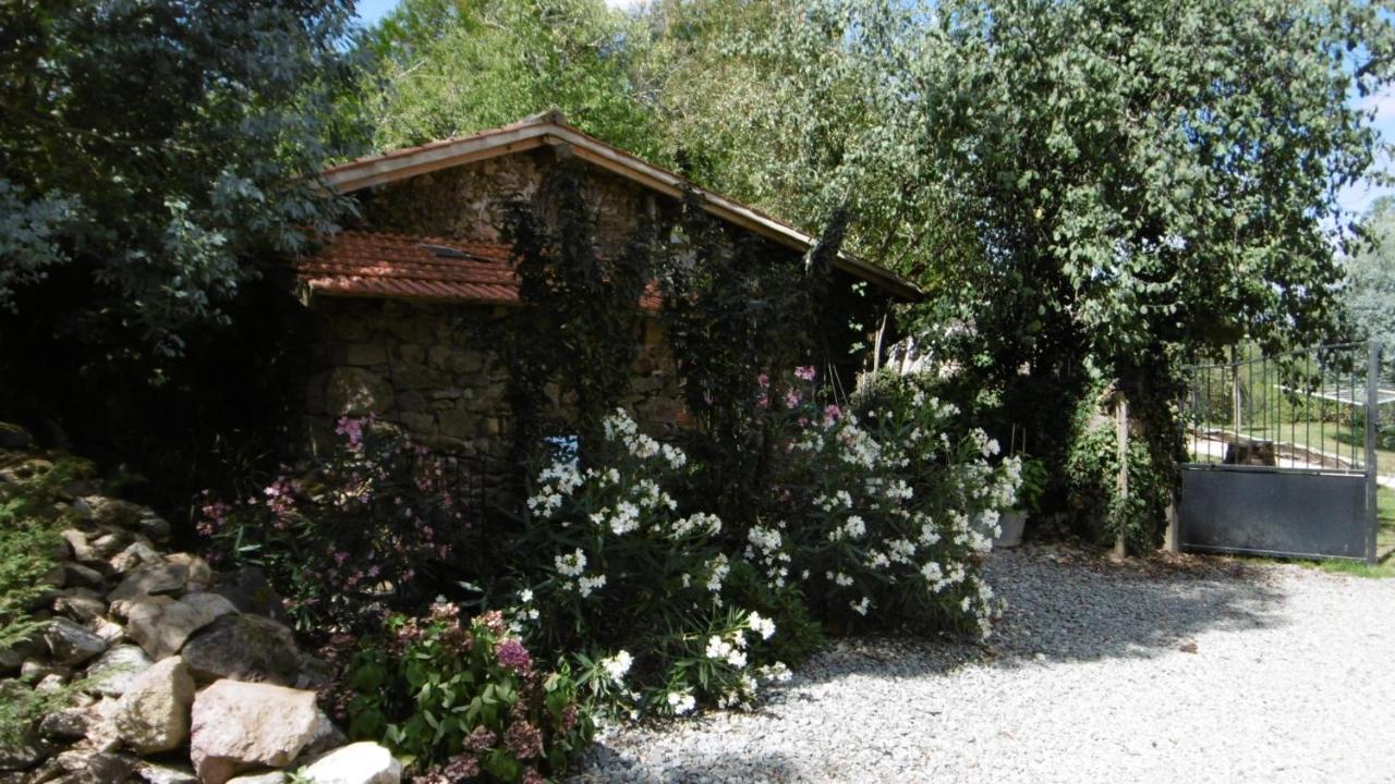Lazy Days Bed & Breakfast Rancon Dış mekan fotoğraf